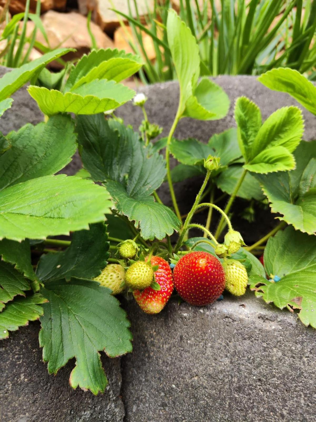 蒙塔古Roodekloof公寓 外观 照片
