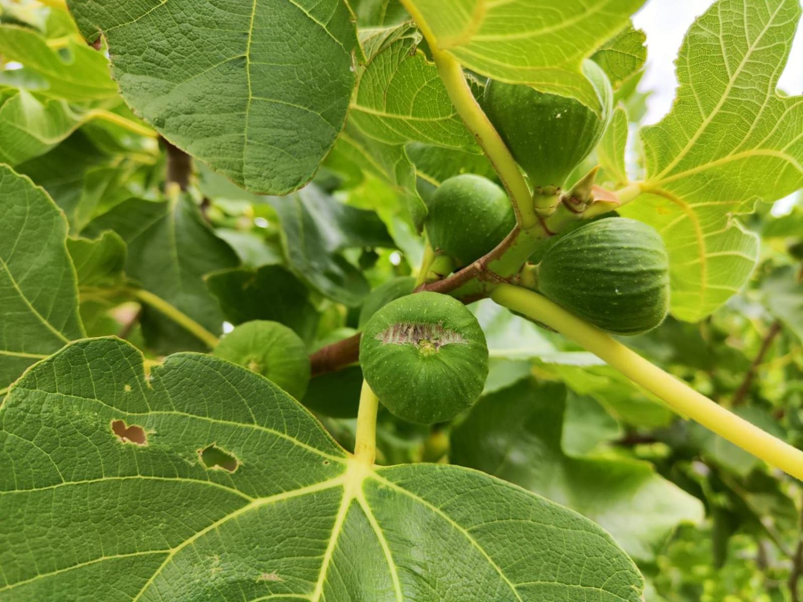 蒙塔古Roodekloof公寓 外观 照片