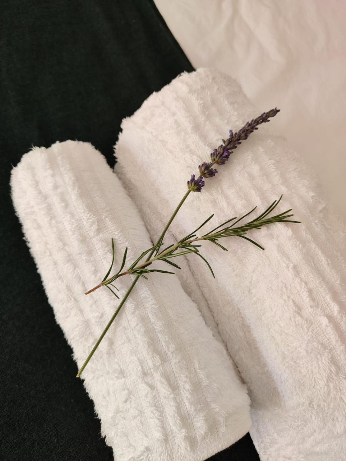 蒙塔古Roodekloof公寓 外观 照片