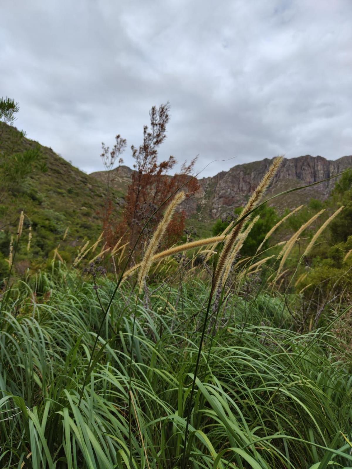 蒙塔古Roodekloof公寓 外观 照片