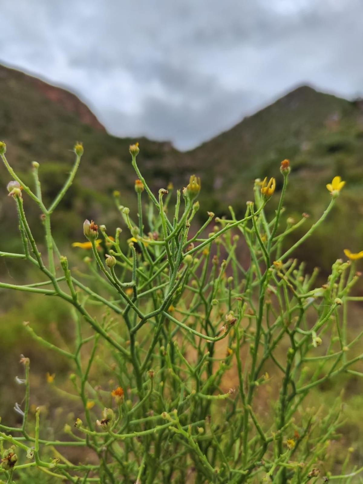 蒙塔古Roodekloof公寓 外观 照片