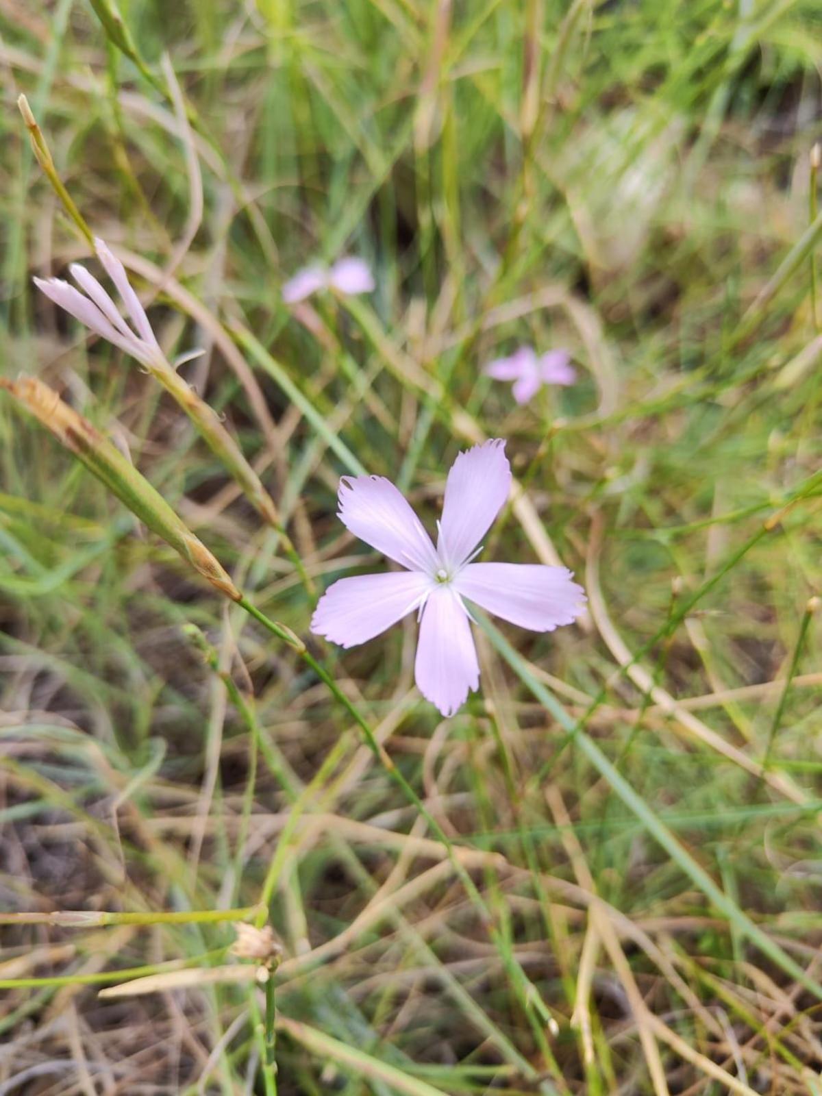 蒙塔古Roodekloof公寓 外观 照片